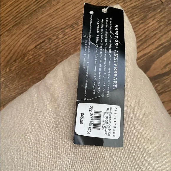 NWT Friends x Pottery Barn Decor Pillow - Picture 4 of 10
